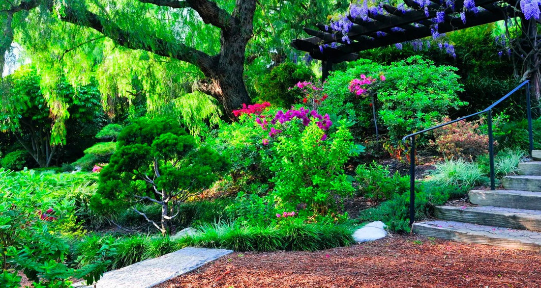 Self-Realization Fellowship - Misswood